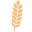 Kornprobst