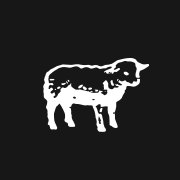 Lamm
