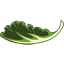 Das Mangold