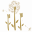 Krummenauer