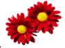 De Bloomenstuv