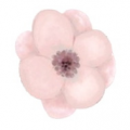 Blumen-Ecke