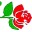 Blumen Moser