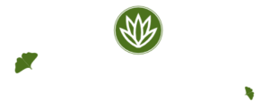 Gesund & Schön Kosmetikinstitut