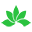 Greenlotus Spa