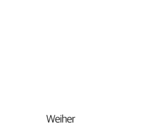Live-Music-Hall