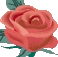 Akwaba